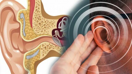 Kõrvahaigus: mis põhjustab menierit? Millised on Meniere'i sümptomid? Kas on olemas ravi?