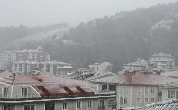 linna lumi
