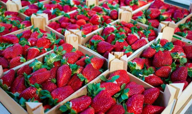 Kas maasikate söömine plekitab raseduse ajal? Kas maasika sugu määrab raseduse ajal?