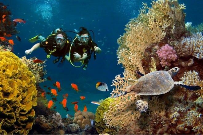 sukeldumine Maldiividel