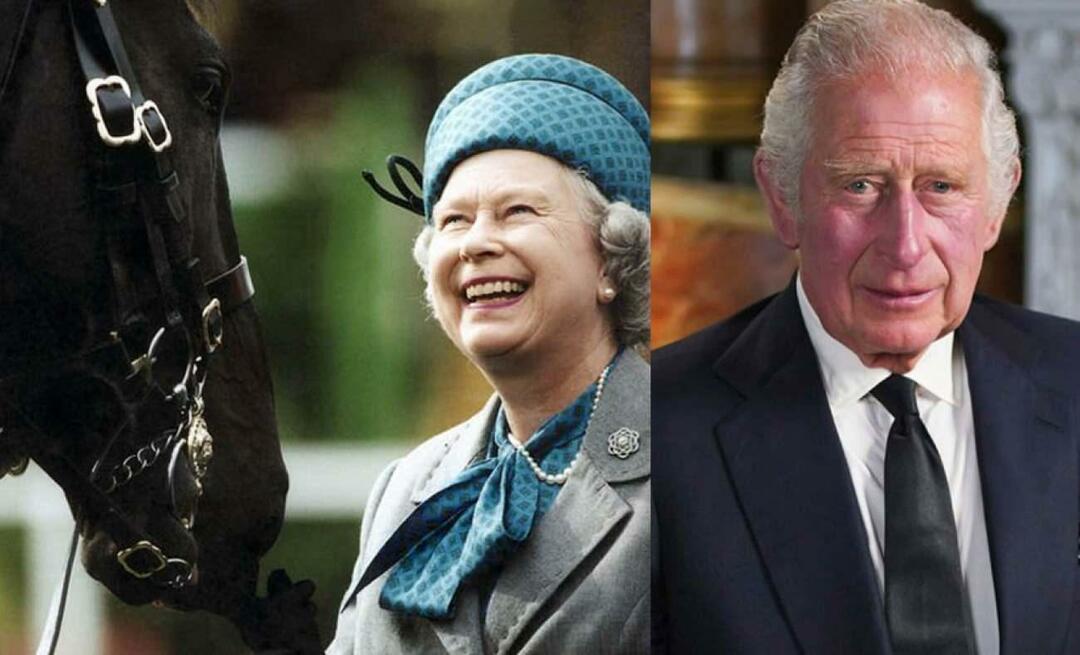 Kuningas III. Kuninganna Charles II Lugupidamatus Elizabethi pärandi vastu! Võitja müüb hobused maha
