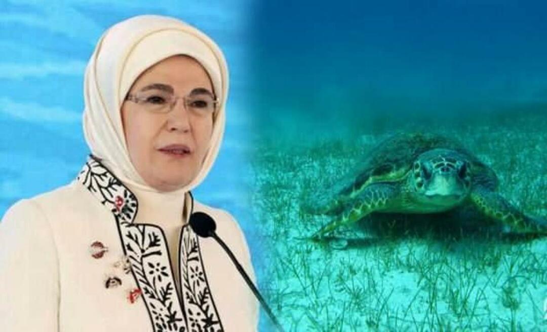 Emine Erdoğani "merikilpkonna" jagamine: "Nii kaua kui me neid kaitseme, elavad nad edasi"