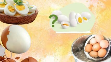 Keedetud munade dieet! Kas muna hoiab kõhu täis? 12 kilo nädalas 