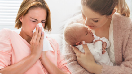 Kuidas gripp möödub imetavatel emadel? Kõige tõhusamad ravimtaimede lahendused gripi korral imetavatele emadele