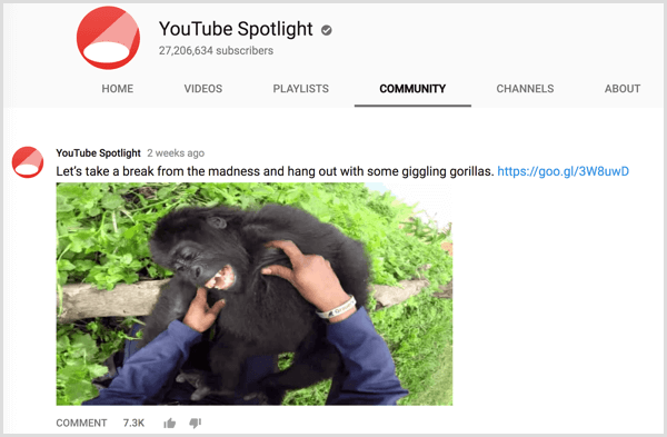 YouTube'i kanali kogukonna vahekaardi postitus