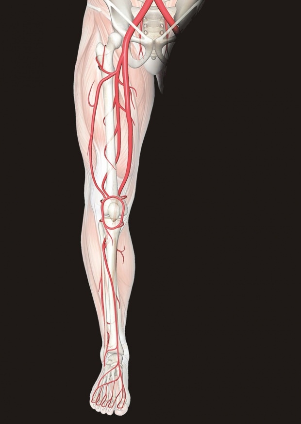 Mis põhjustab jalgade valu? Millised haigused välistavad jalgade valu? Kuidas jalgade valu möödub?