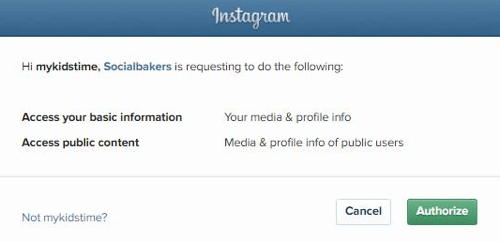 Lubage Socialbakersil pääseda juurde teie Instagrami konto teabele.