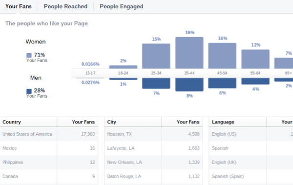 facebook annab ülevaate vaatajaskonna demograafiast