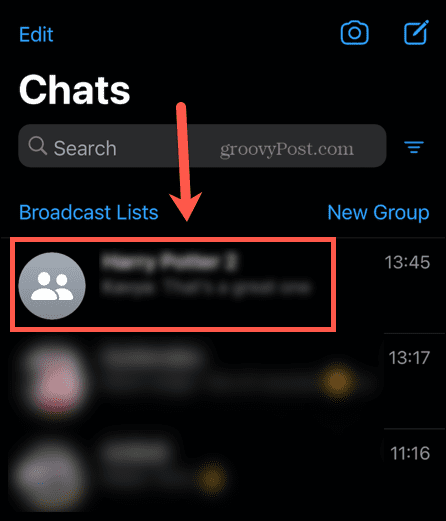 whatsapp grupivestlus