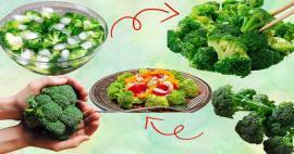 Mis aastaajal ja kuul brokkoli kasvab? Millal süüa brokkolit? 