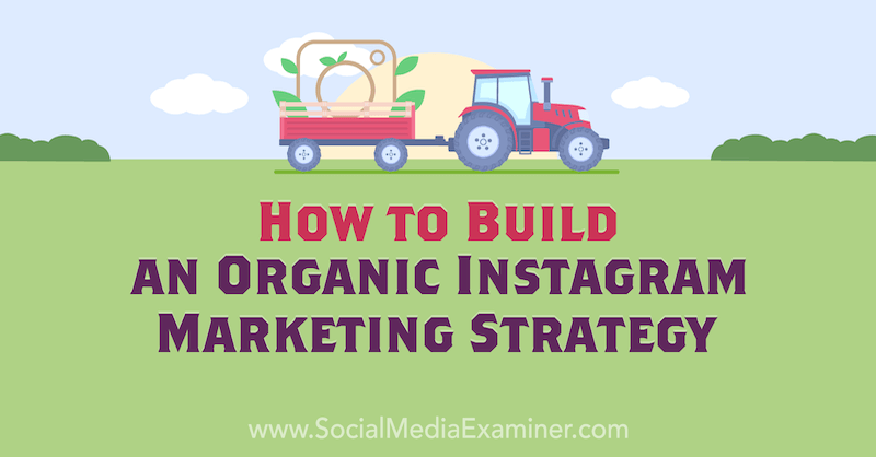 Corinna Keefe'i sotsiaalse meedia eksamineerija jaoks orgaanilise Instagrami turundusstrateegia koostamine.