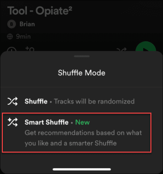 fix Spotify Shuffle ei sega segamist