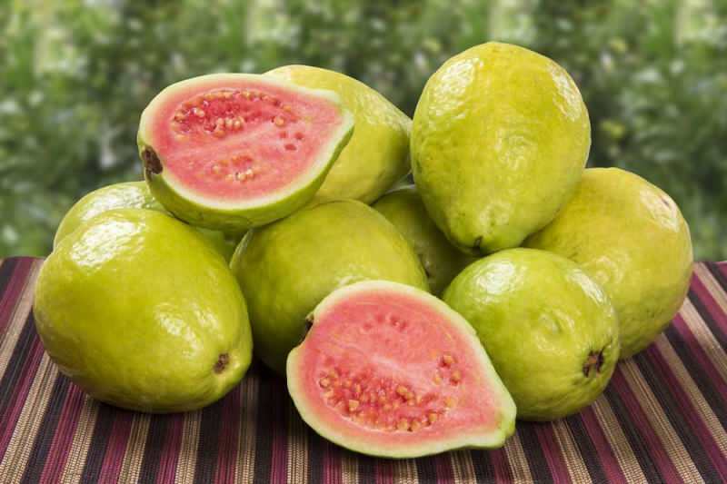 guavani puuvili möödub maasikana 