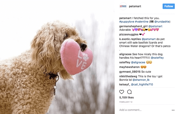 Kui PetSmart jagab kasutajate fotosid Instagramis edasi, annavad nad pildiallkirja originaalpostrile fotokrediidi.