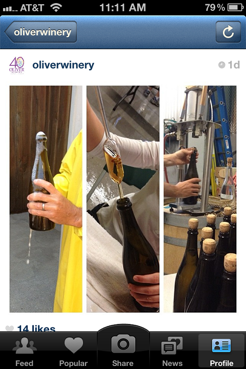 oliveri veinikelder