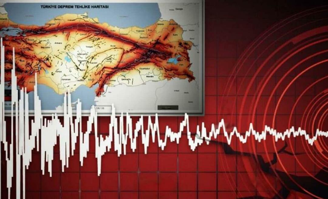 Millised on maavärinatsoonid Türgis? Kuidas teha rikkejoone päringut?