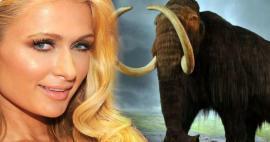 Paris Hilton investeeris oma raha mammutitesse! 