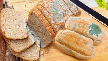 Kuidas vältida ramadaani ajal leiva hallitamist? Kuidas vältida leiva vananemist ja hallitamist