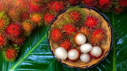 Mis on Rambutan? Mis kasu on Rambutani puuviljadest? Kuidas rambutani süüa?