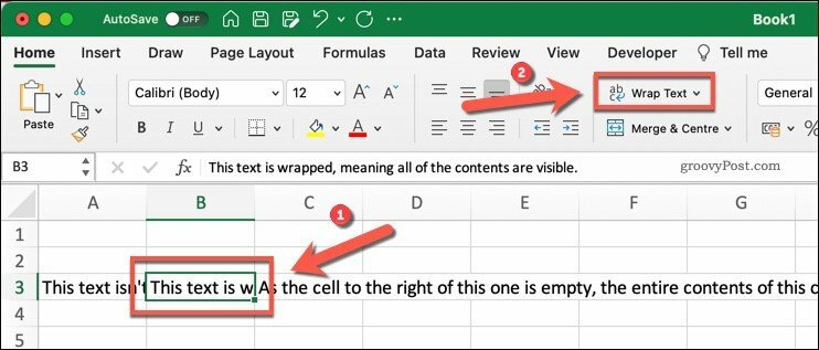 Nupp Wrap Text Microsoft Excelis