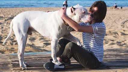 Noor näitlejanna Alina Boz jättis oma surnud koeraga hüvasti! Kes on Alina Boz?
