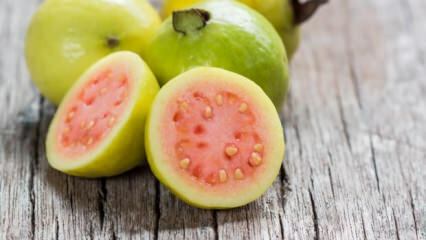 Mis on Guava viljad? Mis kasu sellest on?