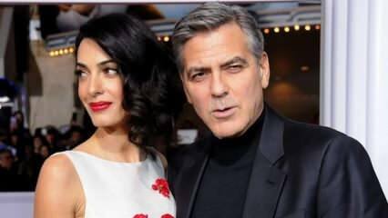 George Clooney: Mul on vedanud!