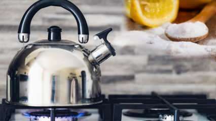 Kuidas puhastada veekeetja lubi? 5 lihtsat meetodit lubja eemaldamiseks teekannust