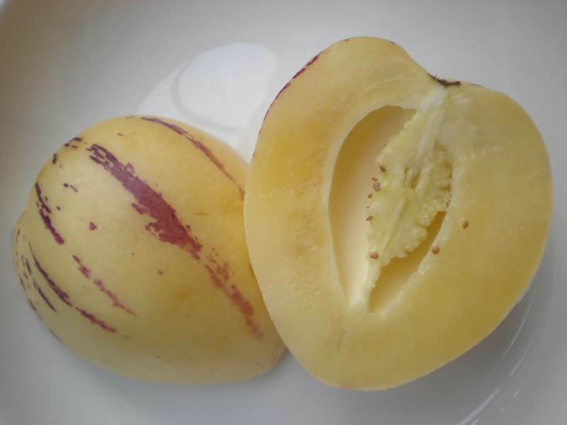 pepino viljad lõigatakse kujutisena nagu melon