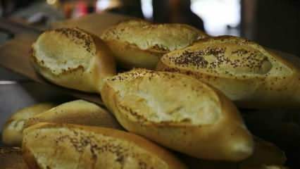 Kuidas hinnatakse vananenud leiba? Retseptid, mis on valmistatud lahtise leivaga