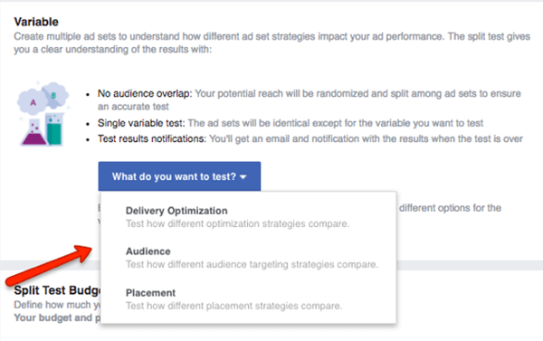 Valige, millist muutujat oma Facebooki kampaanias testida.