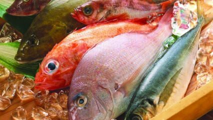 Kalade mõju immuunsusele! Mis kasu on kaladest? Kuidas tarbida tervislikumat kala?