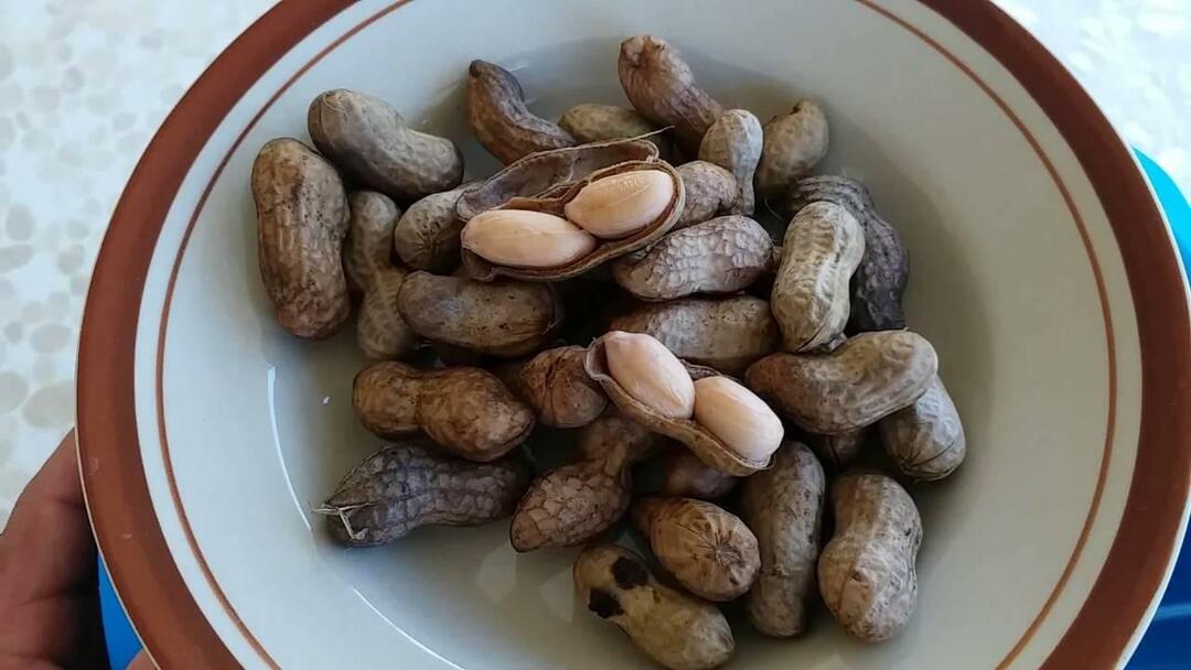Keedetud maapähklid 