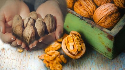 Kuidas kreeka pähkli plekk eemaldatakse?