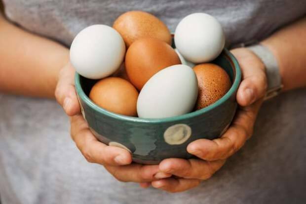 Kuidas toimub orgaaniliste munade analüüs?