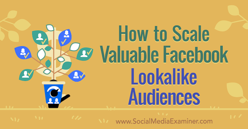 Kuidas skaleerida Facebooki väärtuslikku vaatajaskonda, autor Yahav Hartman sotsiaalmeedia eksamineerijast.