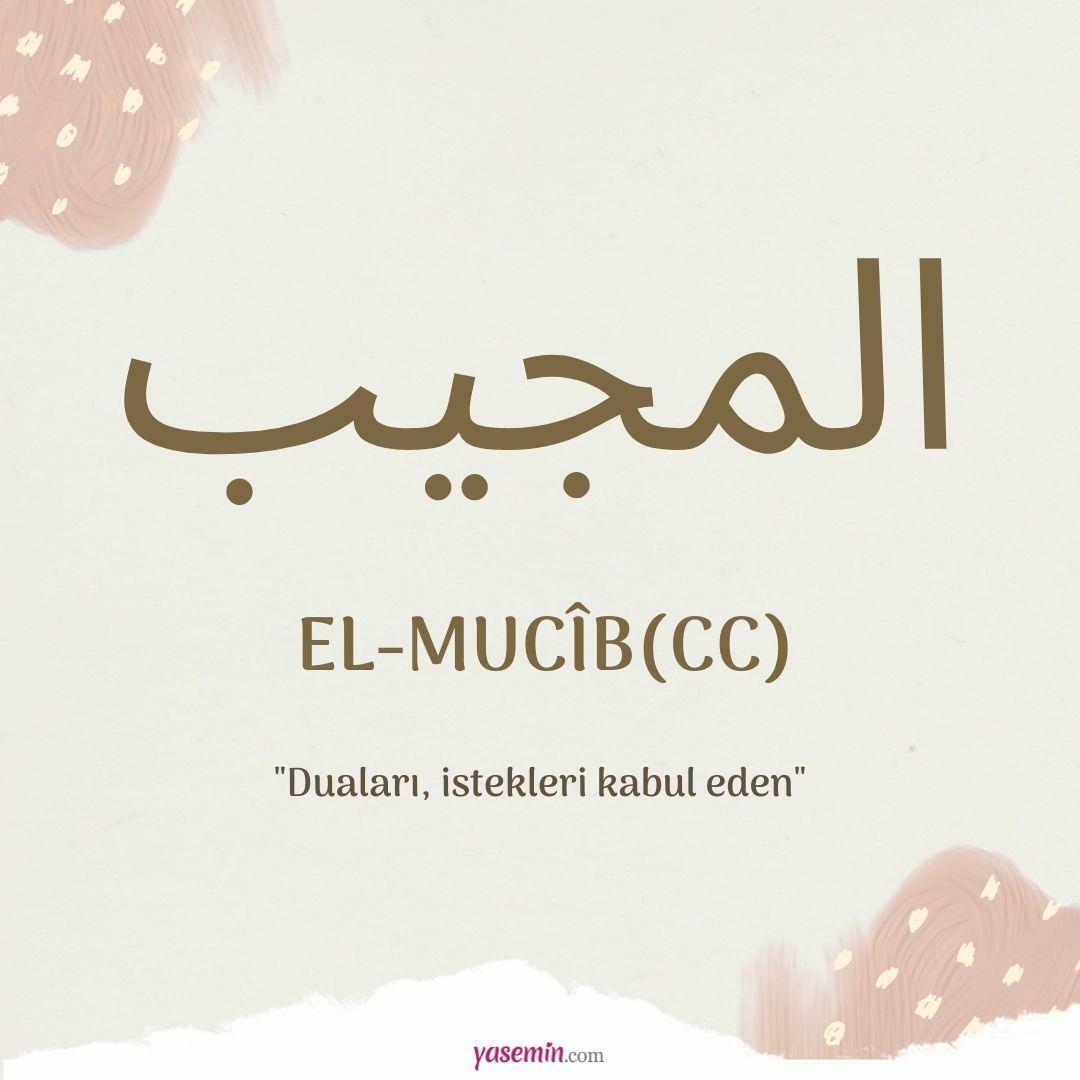 Mida tähendab al-Mujib (cc)?