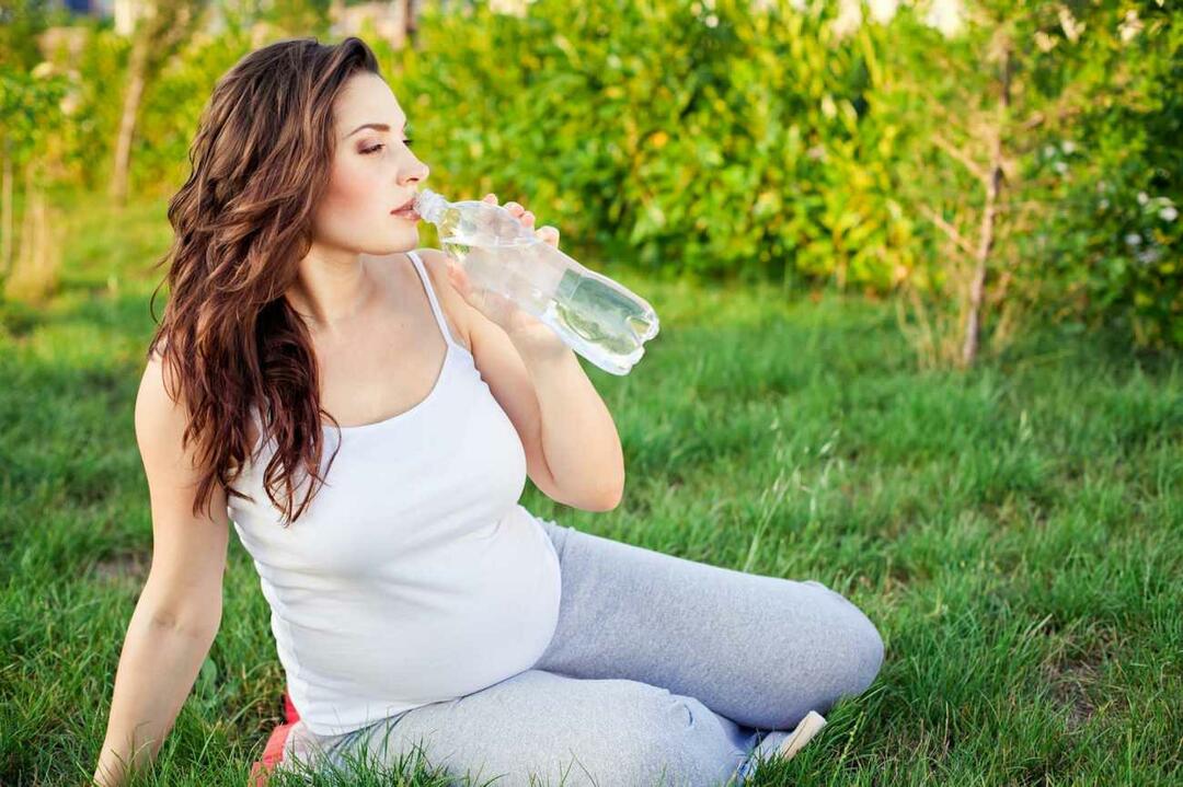 vedeliku tarbimine raseduse ajal