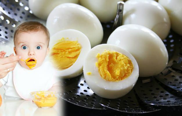 Kuidas toita beebidele munakollasid? Millal antakse munakollast beebidele?