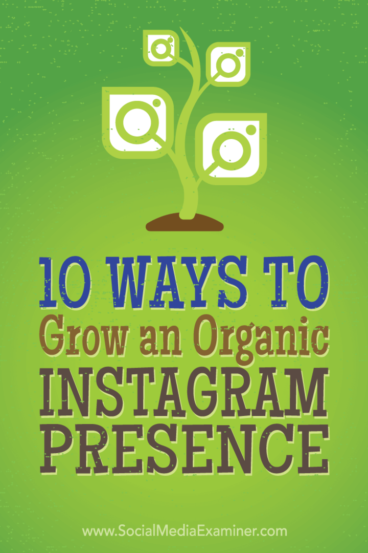 10 viisi orgaanilise Instagrami kohaloleku kasvatamiseks: sotsiaalmeedia eksamineerija