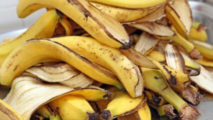 Mis kasu on banaanist? Kui palju on banaane? Banaanikoori tundmatud kasutusalad! 