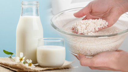 Kuidas valmistada rasvapõletavat riisipiima? Salenemismeetod riisipiimaga