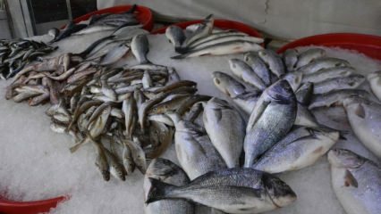 Milliseid kalu tuleks oktoobris tarbida ja millised on eelised?