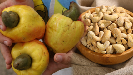 Mis kasu on kašupähklist? Kašupähklitest teada olevad asjad, mis mõjutavad positiivselt silmade tervist ...