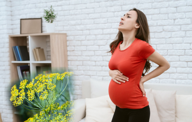 looduslik ravim raseduse alaseljavalu korral