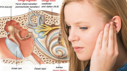 Mis põhjustab kõrvakristalli nihet? Kõrvakristalli mängu märgid