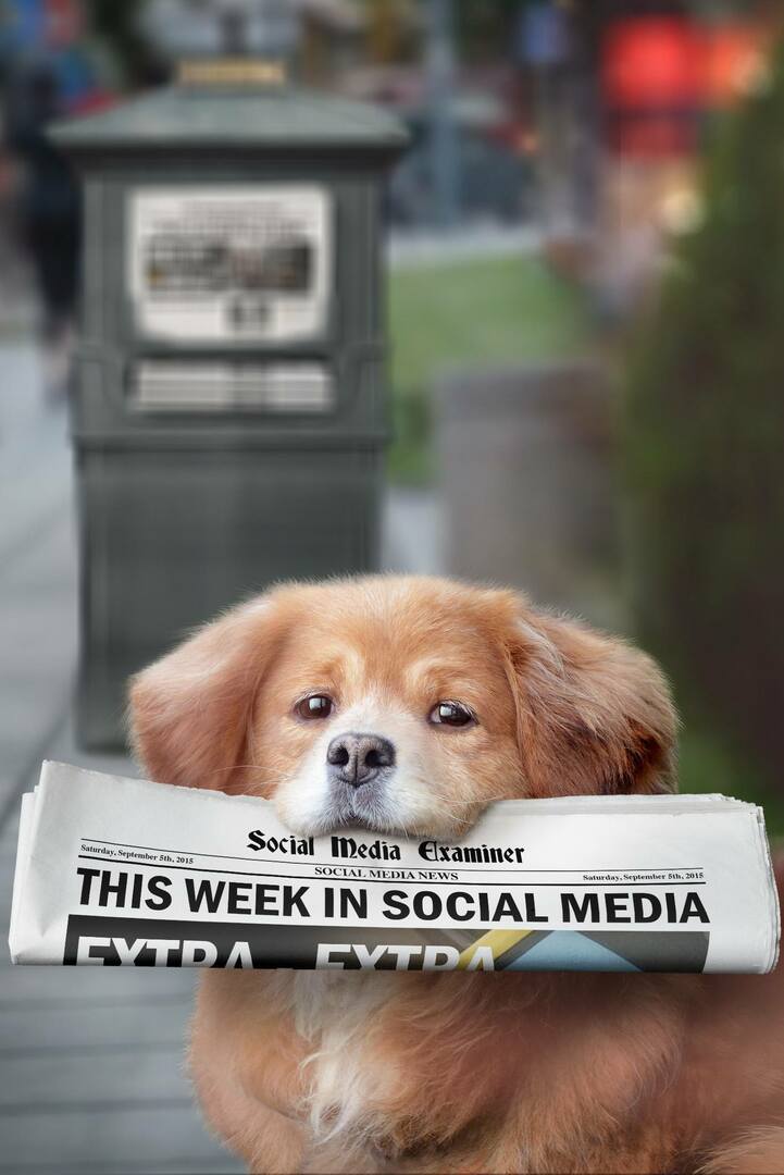 sotsiaalmeedia eksamineerija nädala uudised 5. september 2015