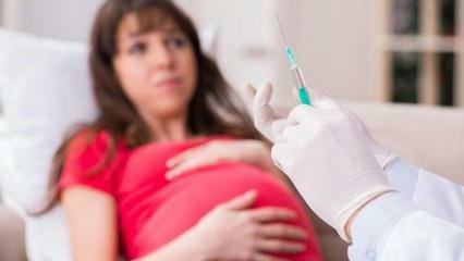 Ekspertide hoiatus! Rasedad naised ootavad koroonaviiruse vaktsiini