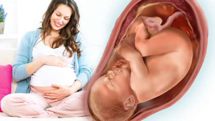 Kuidas normaalselt sünnitada? Millal menstruatsioon saab korda pärast sündi? Tavaline sünnitusvalu ...