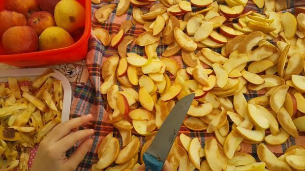 Kuidas õuna kuivatada